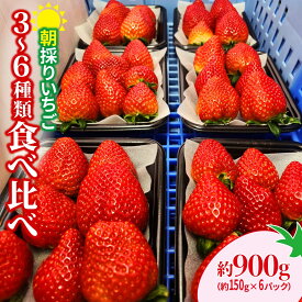 【ふるさと納税】＜2026年 先行予約＞いちご 食べ比べ 150g×6パック 900g｜コク 甘み 朝採れ やよいひめ ななか 恋みのり あまおとめ あすかルビー 贈答用 新鮮 完熟 いちご 旬 苺 産地直送 果汁 甘い 人気 高評価 美容 健康 旨味 高糖度 ごほうび 群馬県 前橋市