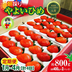 yӂ邳Ɣ[Łzy2026N s\z1`4悢Ђ 400g × 2pbN 800g v4 | RN Â ̂ 悢Ђ p VN n  {  Xgx[ Yn ʏ` ܂