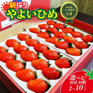 yӂ邳Ɣ[Łzys\FIׂeʁz 悢Ђ 800g/2.4kg/4kg/4 | C`S   i Ղ VN n { Xgx[  Yn ʏ` Â ܂ lC ] 