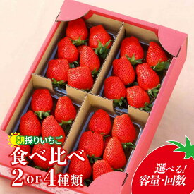 【ふるさと納税】【選べる容量・回数】 いちご 2種/4種 食べ比べ 【800g/1120g/1600g/4ヵ月定期便】 1回分 定期便 | イチゴ 苺 高品質 新鮮 完熟 旬 ストロベリー 高級 人気 プレゼント 朝採れ やよいひめ ななか 恋みのり あまおとめ 贈答用 群馬県 前橋市