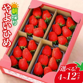 【ふるさと納税】先行予約 選べる容量・回数 やよいひめ 4パック/12パック/4ヵ月定期便 | 朝採れ イチゴ 苺 高品質 たっぷり 新鮮 完熟 旬 ストロベリー 高級 産地直送 果汁 甘い あまい 人気 高評価 高糖度 ごほうび プレゼント 朝採れ 贈答用 群馬県 前橋市
