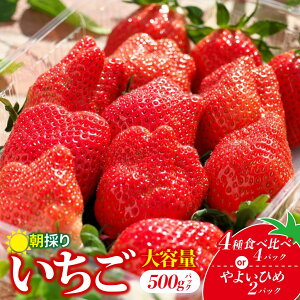 yӂ邳Ɣ[Łzys\FIׂez 悢Ђ 4Hה 500g 2pbN 4pbN | ̂ C`S  i Ղ VN n {  Yn Â ܂ lC ] x 