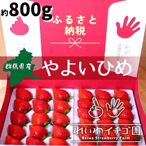 yӂ邳Ɣ[Łz 2026N s\ Iׂ 悢Ђ 800g | ̂ Ղ p VN n  {  Xgx[  Yn ʏ` Â ܂ lC ] _