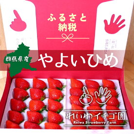 【ふるさと納税】いちご ＜2026年 先行予約＞ 選べる定期便 やよいひめ 800g | 朝採れ たっぷり 贈答用 新鮮 完熟 いちご 旬 苺 ストロベリー 高級 産地直送 果汁 甘い あまい 人気 高評価 減農薬 有機肥料 生産 生産量 産地 王国 高糖度 プレゼント 群馬県 前橋市