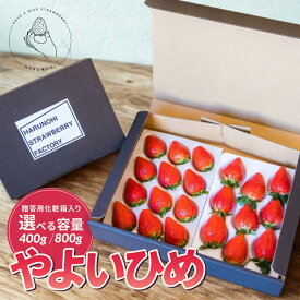 【ふるさと納税】いちご 大粒完熟 「やよいひめ」選べる内容量 2026年 400g 800g｜朝採れ やみつき高品質 たっぷり 贈答用 新鮮 完熟 いちご 旬 苺 ストロベリー 高級 産地直送 果汁 甘い あまい 人気 高評価 群馬県 前橋市
