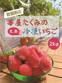 【ふるさと納税】R3-34　苺屋たくみの冷凍いちご