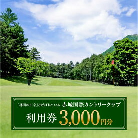 【ふるさと納税】ゴルフ 赤城国際カントリークラブ 利用券 3,000円分｜ゴルフ場 ゴルフ利用券 チケット 利用クーポン ラウンド プレー ハーフ 関東 都心 近い スイング ゴルフクラブ ゴルフコース 歴史 伝統 林間 大自然 四季 見通し 宿泊 景色 眺望 父の日 群馬県 前橋市