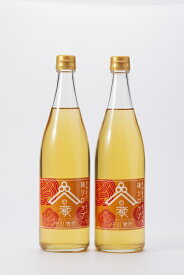 【ふるさと納税】漬物やがこだわった 梅シロップ　720ml×2本｜梅 シロップ 梅ジュース 濃厚 群馬県 前橋市