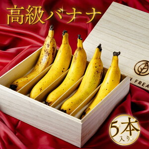 yӂ邳Ɣ[Łz˔葡p Y ɏ̊Â oii 5{bY ΂Ȃ ʕ   ɏ̊Â t[c fU[g H Â H x   ɏ y Qn O