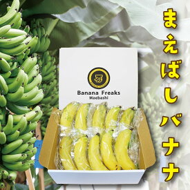 【ふるさと納税】国産 バナナ 1.2kg 紙箱入り｜国産 ばなな 幻 みずみずしい 高級 極上の甘み もちもち食感 糖度 夏休み 子ども ヒルナンデス メディア 群馬県 前橋市