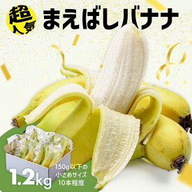 【ふるさと納税】国産 バナナ 1.2kg 紙箱入り｜国産 ばなな 幻 みずみずしい 高級 極上の甘み もちもち食感 糖度 夏休み 子ども ヒルナンデス メディア 群馬県 前橋市
