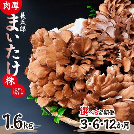 【ふるさと納税】＜選べる定期便＞長五郎 まいたけ かぶ500g×2個 ほぐし300g×2袋 合計1600g｜炊き込みご飯 きのこご飯 舞茸ご飯 天ぷら 舞茸 まいたけ きのこ 野菜 丸ごと 国産 無農薬 安全 安心 食物繊維 健康 カロリー 低い 産地直送 プレゼント ギフト 贈り物