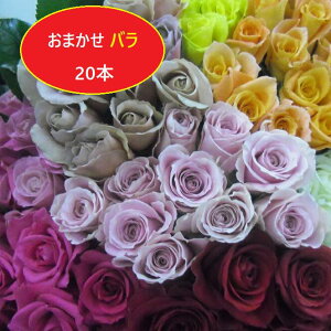 yӂ邳Ɣ[Łzo C20{bo KN  ԑ t[Mtg ܂ԑ NxQ  蕨 LC  v[g ԃMtg ԑ j j j Qn O