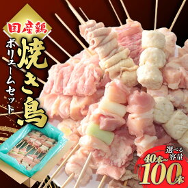 【ふるさと納税】父の日 BBQ 焼き鳥 ボリュームセット 1箱20本入 1.6kg～4.0kg 選べる容量 | バーベキュー 国産 焼き鳥 鶏モモ肉 鶏肉 お取り寄せ グルメ おつまみ 夕飯 簡単 便利 フライパン おかず 手作業 串 家庭用 手軽 時短 惣菜 冷凍 来知 群馬県 前橋市