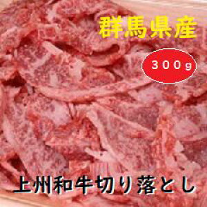 yӂ邳Ɣ[ŁzA-31 QnYBa؂藎Ƃ 300gba Ă  蕨 v[g  Ԑg ō Ƒ B  N Ƒ W܂ p[eB ؂ 炩 ܂  R