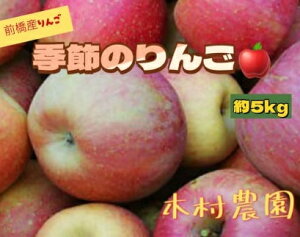 yӂ邳Ɣ[Łz 5kg b   z ܖ ӂ S { Â W[V[  n Y Yn ʕ t[c G H ~ fU[g  ь Abv 5
