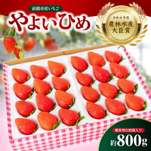 yӂ邳Ɣ[Łz y2026Ns\z  y_ѐYb܎܁z悢Ђ 800g ̂ p ϔbC`S  i t[c Ղ VN n { Xgx[  Â 