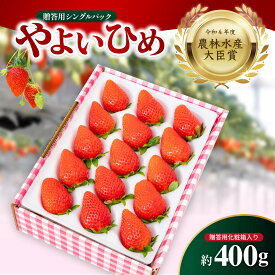【ふるさと納税】いちご やよいひめ 贈答用 シングルパック 約400g入りトレー 1箱 | イチゴ 苺 高品質 フルーツ たっぷり 新鮮 完熟 旬 ストロベリー 高級 産地直送 果汁 甘い あまい 人気 高評価 高糖度 ごほうび プレゼント 松井ファーム 群馬県 前橋市