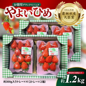 【ふるさと納税】いちご やよいひめ お徳用 デラックスパック 約300g×4パック 合計1200g | イチゴ 苺 高品質 フルーツ たっぷり 新鮮 完熟 旬 ストロベリー 高級 産地直送 果汁 甘い あまい 人気 高評価 高糖度 ごほうび プレゼント 松井ファーム 群馬県 前橋市