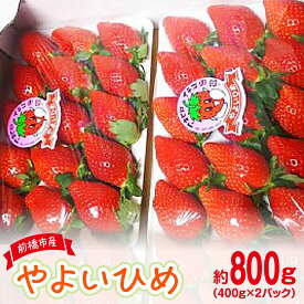 【ふるさと納税】【2026年 先行予約】 やよいひめ 約400g × 2パック (箱入り) 800g | 朝採れ やみつき高品質 たっぷり 贈答用 新鮮 完熟 いちご 旬 苺 ストロベリー 高級 産地直送 果汁 甘い あまい 人気 高評価 高糖度 ごほうび プレゼント 群馬県 前橋市