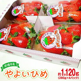 【ふるさと納税】＜2026年 先行予約＞家庭用いちご やよいひめ 約280g×4パック（箱入り） 合計1120g｜ 朝採れ やみつき高品質 たっぷり 贈答用 新鮮 完熟 いちご 旬 苺 ストロベリー 高級 産地直送 果汁 甘い あまい 人気 高評価 高糖度 ごほうび プレゼント 群馬県 前橋市