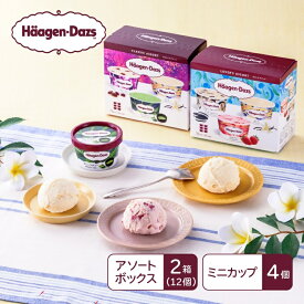 【ふるさと納税】ハーゲンダッツ　マルチパックセット／アイス　ミニカップ　アソート　ラバーズアソート　クラシックアソート