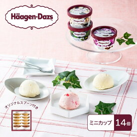 【ふるさと納税】ハーゲンダッツ　スタンダードセット／アイス　ミニカップ　人気フレーバー　詰合せ　スプーン付き
