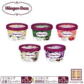 【ふるさと納税】ハーゲンダッツ　パーティーセット／アイス　ミニカップ　人気フレーバー　期間限定フレーバー 　詰合せ　スプーン付き