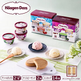 【ふるさと納税】ハーゲンダッツ　バラエティセット／アイス　ミニカップ　アソート　　スプーン付き　セット