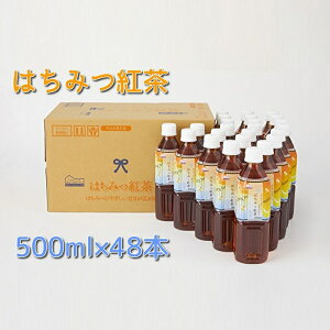 yӂ邳Ɣ[Łz炵ɃxNw݂͂gx500ml×48{