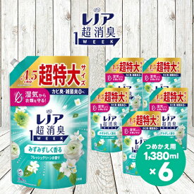 【ふるさと納税】レノア 超消臭1WEEK 柔軟剤 みずみずしく香るフレッシュグリーンの香り 詰め替え 超特大 1380mL×6個