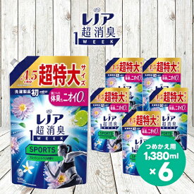 【ふるさと納税】レノア 超消臭1WEEK 柔軟剤 SPORTS フレッシュシトラスの香り 詰め替え 超特大 1380mL×6個