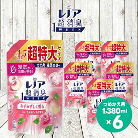 【ふるさと納税】レノア 超消臭1WEEK 柔軟剤 みずみずしく香るフローラル&ピーチの香り 詰め替え 超特大 1380mL×6個