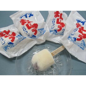 【ふるさと納税】アイスまんじゅう(90ml×4個)【配送不可地域：離島】【1205496】
