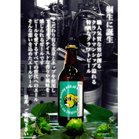【ふるさと納税】のど越しだけがビールじゃない!　群馬県桐生市のクラフトビール 　おまかせ6本セット【配送不可地域：離島】【1602540】