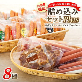 【ふるさと納税】詰め込みセットPlus | 肉 にく お肉 食べ比べ お楽しみ 増量 セット 小分け 大容量 大人気 ランキング ボリューム 個包装 お歳暮 お年賀 アウトドア キャンプ 冷凍 伊勢崎市 群馬県