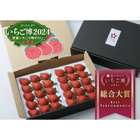 【ふるさと納税】【いちご博総合大賞】やよいひめ 約800g ※2026年1月上旬～4月下旬頃に順次発送予定 ※沖縄・離島への配送不可