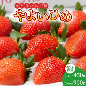 yӂ邳Ɣ[ŁzyIׂeʁzƂ̂悢Ђ߃fbNXpbN@1pbNE2pbN Eւ̔zs 2026N1{`3{ɏ\