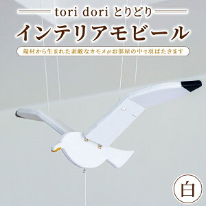 yӂ邳Ɣ[Łzytori dori ƂǂzCeAr[ 