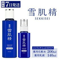 楽天市場】雪肌精 セット（美容・コスメ・香水）の通販