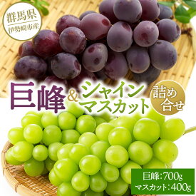 【ふるさと納税】【先行受付】巨峰700g シャインマスカット400g 詰め合わせ ※2026年8月上旬～9月上旬頃に順次発送予定 ※離島への配送不可