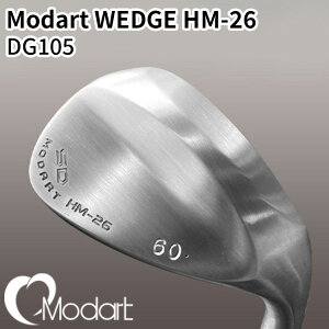 yӂ邳Ɣ[ŁzModart WEDGE HM-26 DG105