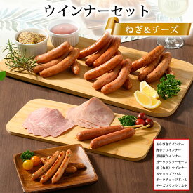 【ふるさと納税】ウインナーセット（ねぎ＆チーズ）2箱セット 8種類 計2.4kg｜BBQ バーベキュー アウトドア キャプ 肉 豚肉 惣菜 詰め合わせ お弁当 朝食 食べ比べ 真空パック ソーセージ