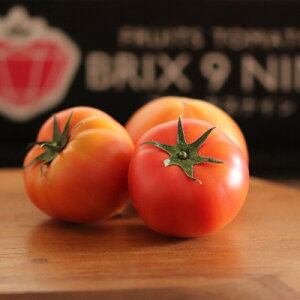 yӂ邳Ɣ[Łzyߘa8N3Jnzx9xȏ!Ԃ΂̂悤ȃt[cg}g@ubNXiCg}g1P[XyzsnFzy1210032z