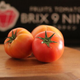 【ふるさと納税】【令和8年3月発送開始】糖度9度以上!赤い宝石のようなフルーツトマト　ブリックスナイントマト4ケース_ トマト フルーツトマト 高糖度 甘い 美味しい 人気 新鮮【配送不可地域：離島】【1210034】