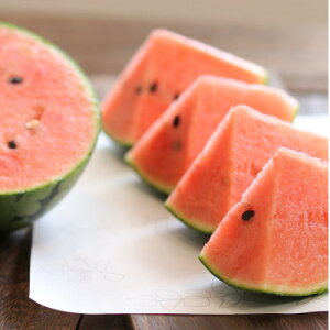 �y�ӂ邳�Ɣ[�Łz�Â����M���b!�Ƃ܂����V�����V�����H�����M�˂����܃X�C�J4��(�ߘa8�N5���`6������)�y�z���s�n��F�����z�y1213152�z