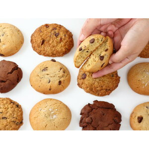 yӂ邳Ɣ[ŁzyYoko's Cookiesz\tgȃAJNbL[100BOX(lC4)y1244117z