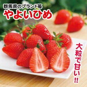 �y�ӂ邳�Ɣ[�Łz�y2026�N2���ȍ~���������z�Q�n���Y��悢�Ђ߁@(������)260g×8�p�b�N�y�z���s�n��F�����z�y1378623�z