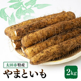 【ふるさと納税】太田特産「やまといも」2kg×1箱【配送不可地域：離島】【1402670】
