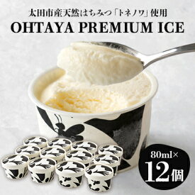 【ふるさと納税】「OHTAYA PREMIUM ICE」12個セット【配送不可地域：離島】【1648710】